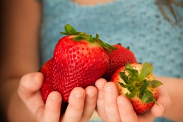 Adobestock1378139475