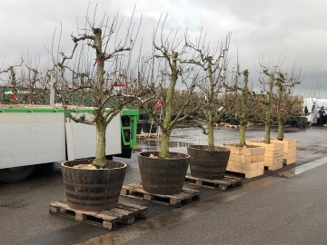 F0707 en f0708 en f0710 en f0711