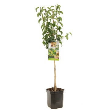 F1204 conference   blad 1