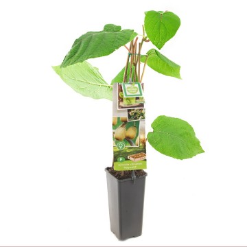 F3693 hayward   blad 1