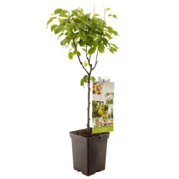 F4204 conference   blad 1